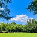 听涛景区 - 武汉市旅游 缩略图 3