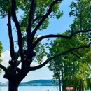 听涛景区 - 武汉市旅游 缩略图 2