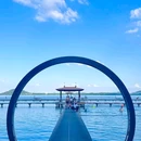 听涛景区 - 武汉市旅游 缩略图 8
