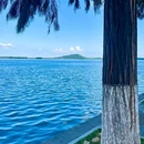 听涛景区 - 武汉市旅游 缩略图 6
