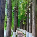 听涛景区 - 武汉市旅游 缩略图 9