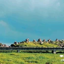 芦芽山风景区 - 忻州市旅游 缩略图 7