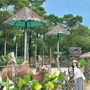 浮生六季生态园 - 惠州市旅游 缩略图 4