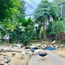 浮生六季生态园 - 惠州市旅游 缩略图 8