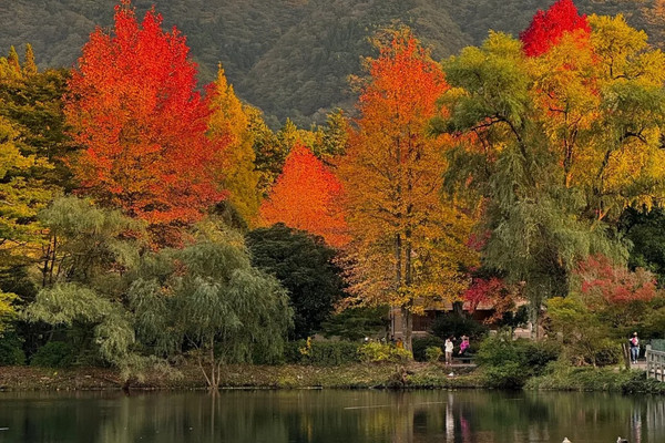 7天6晚·本州全景·东京+大阪+京都+奈良+9人小团半自助游
