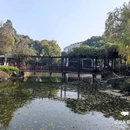常熟虞山饭店 - 苏州市旅游 缩略图 7