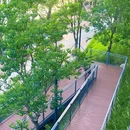 金湖上库水库库岸公园 - 深圳市旅游 缩略图 2
