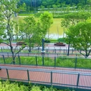 金湖上库水库库岸公园 - 深圳市旅游 缩略图 3