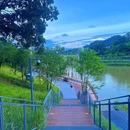 金湖上库水库库岸公园 - 深圳市旅游 缩略图 8