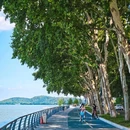 凌波门东湖观景点 - 武汉市旅游 缩略图 4