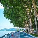 凌波门东湖观景点 - 武汉市旅游 缩略图 5