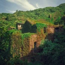 绿野仙踪无人村 - 舟山市旅游 缩略图 5