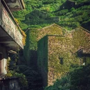 绿野仙踪无人村 - 舟山市旅游 缩略图 2