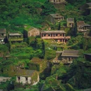 绿野仙踪无人村 - 舟山市旅游 缩略图 3