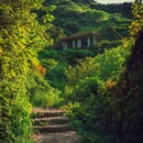 绿野仙踪无人村 - 舟山市旅游 缩略图 8