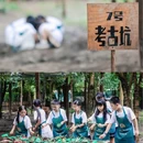 三星堆遗址 - 德阳市旅游 缩略图 6