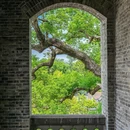 江心屿景区-东码头 - 温州市旅游 缩略图 4