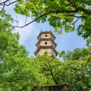 江心屿景区-东码头 - 温州市旅游 缩略图 7