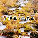 伊春五营国家森林公园 - 伊春市旅游 缩略图 5
