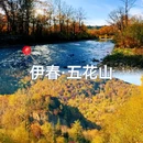 伊春五营国家森林公园 - 伊春市旅游 缩略图 4