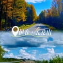 伊春五营国家森林公园 - 伊春市旅游 缩略图 2
