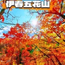 伊春五营国家森林公园 - 伊春市旅游 缩略图 3
