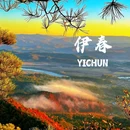 伊春五营国家森林公园 - 伊春市旅游 缩略图 1