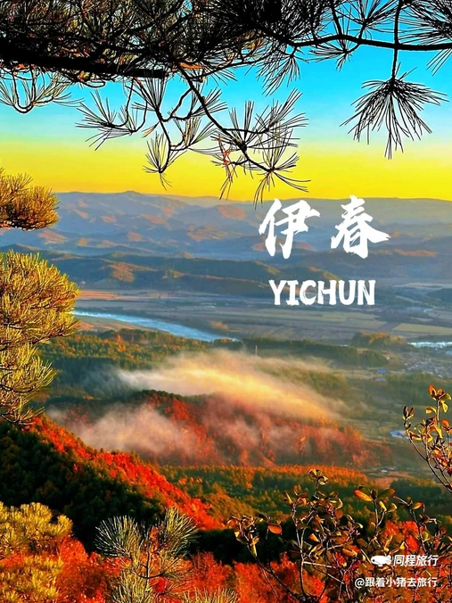 伊春五营国家森林公园 - 伊春市旅游