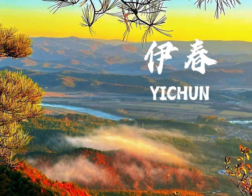 伊春五营国家森林公园 - 伊春市旅游 1
