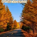 伊春五营国家森林公园 - 伊春市旅游 缩略图 7