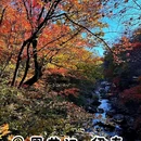 伊春五营国家森林公园 - 伊春市旅游 缩略图 8
