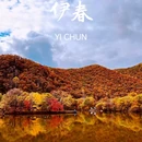 伊春五营国家森林公园 - 伊春市旅游 缩略图 6