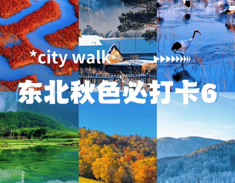 上海新天地 - 上海市旅游 1