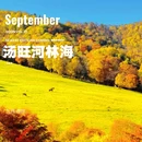 上海新天地 - 上海市旅游 缩略图 5