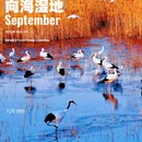 上海新天地 - 上海市旅游 缩略图 6