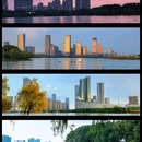 天鹅湖 - 合肥市旅游 缩略图 1