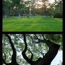 天鹅湖 - 合肥市旅游 缩略图 5