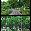 天鹅湖 - 合肥市旅游 缩略图 9