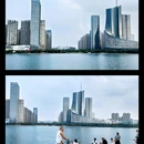 天鹅湖 - 合肥市旅游 缩略图 8