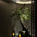 雲璞足道spa - 常州市旅游 缩略图 3