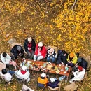 禾木双穗禾·360°环山Slowly·原木风私享美宿(落日篝火晚会店) - 阿勒泰地区旅游 缩略图 8