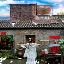 佛山梁园 - 佛山市旅游 缩略图 1
