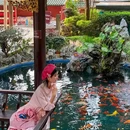 佛山梁园 - 佛山市旅游 缩略图 7