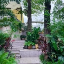 碳所 Charcoal·炭烤餐吧 - 成都市旅游 缩略图 2