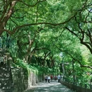 吴山景区 - 杭州市旅游 缩略图 1