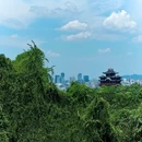 吴山景区 - 杭州市旅游 缩略图 7