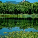 北坞公园 - 北京市旅游 缩略图 7