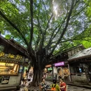 金刚碑古村落 - 重庆市旅游 缩略图 7