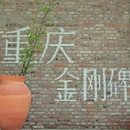 金刚碑古村落 - 重庆市旅游 缩略图 9