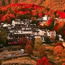 宏村风景区 - 黄山市旅游 缩略图 7